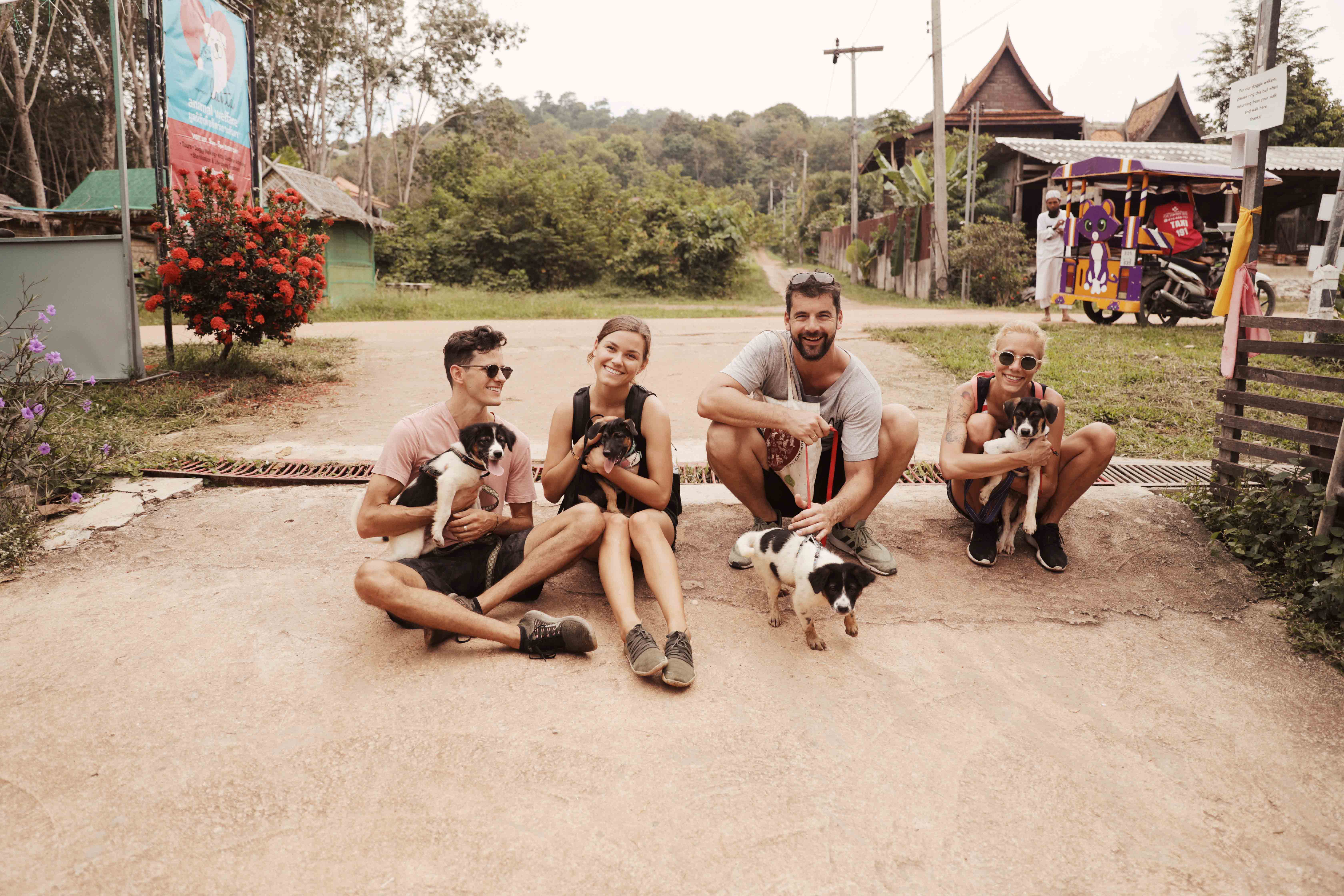 annalaurakummer, hund, thailand, ellie, adopt, lanta animal welfare